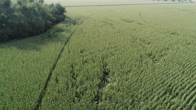 Damage from Air