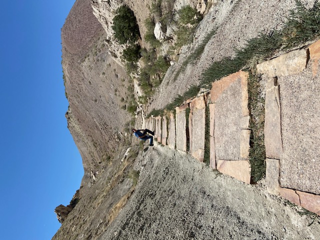 Stone Trail Steps