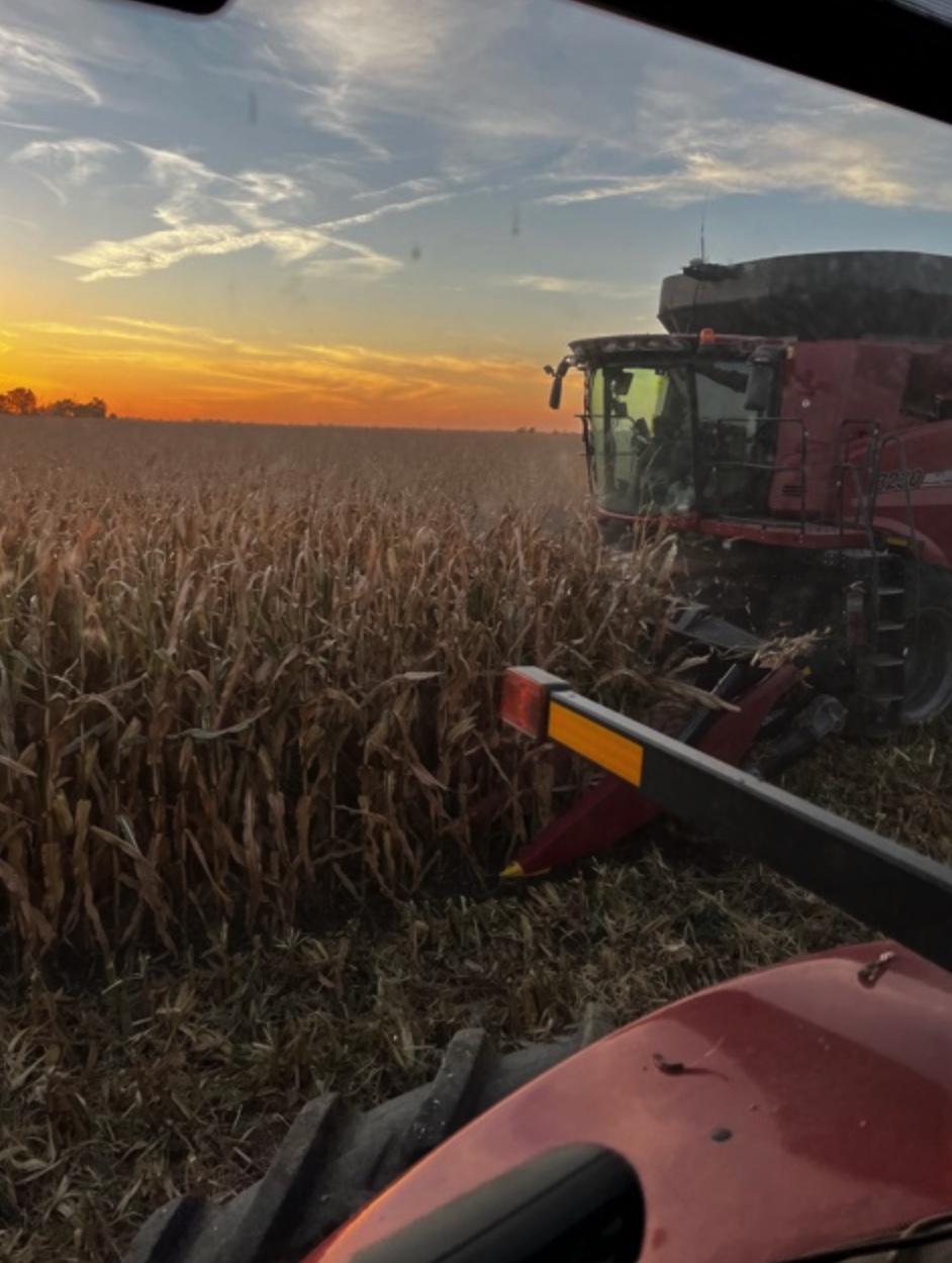 Starting Harvest