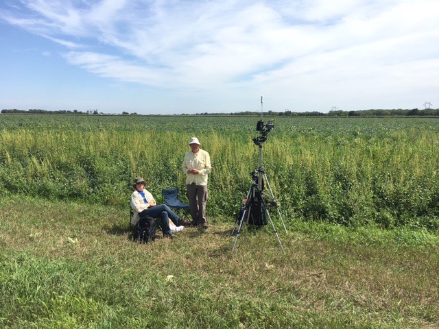 Observers In Field