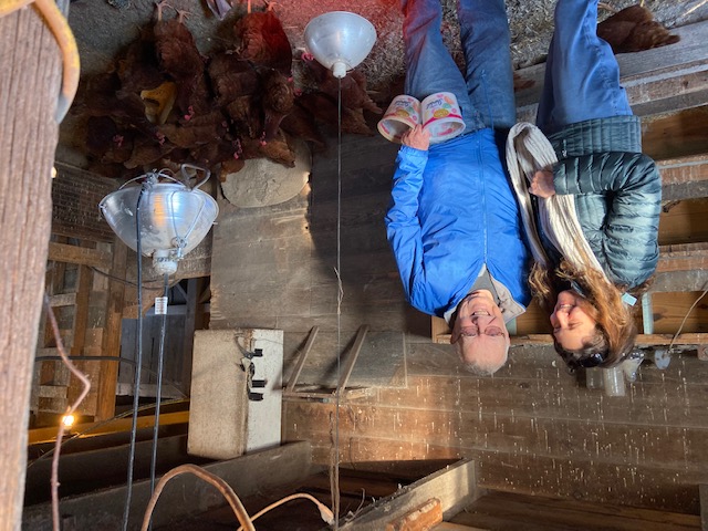 Inside Chicken Coop